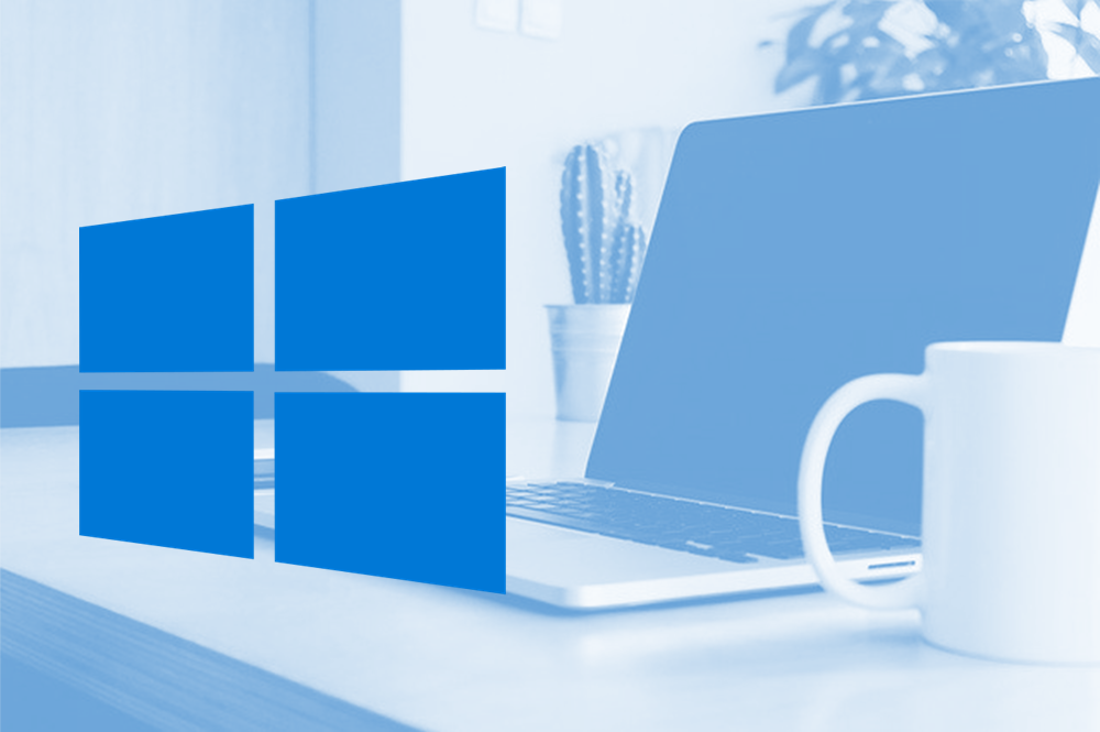 Windows 11