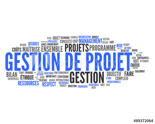 GESTION DE PROJETS